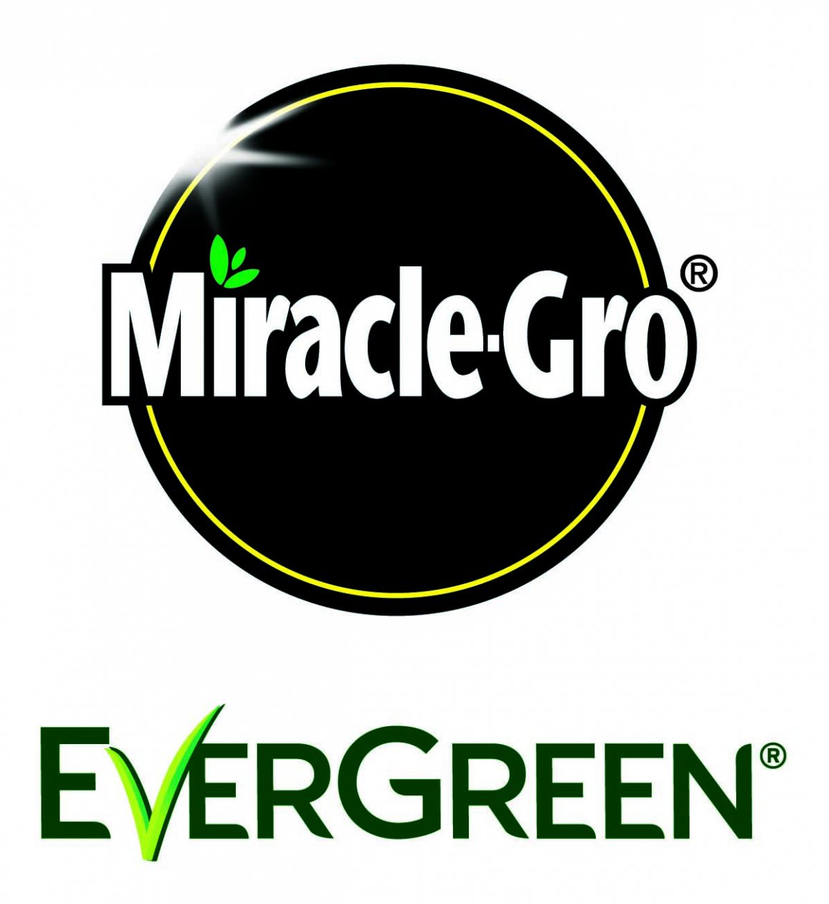 Miracle-Gro Evergreen