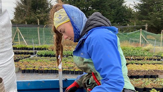 RHS Chelsea Flower Show Update