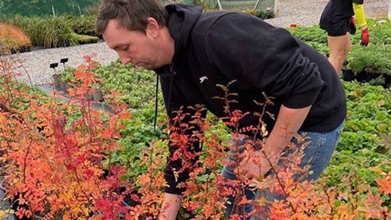 RHS Chelsea Flower Show Update
