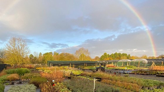 RHS Chelsea 2023 - Update No.2