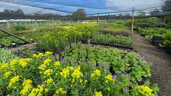 Three More Gardens Announced