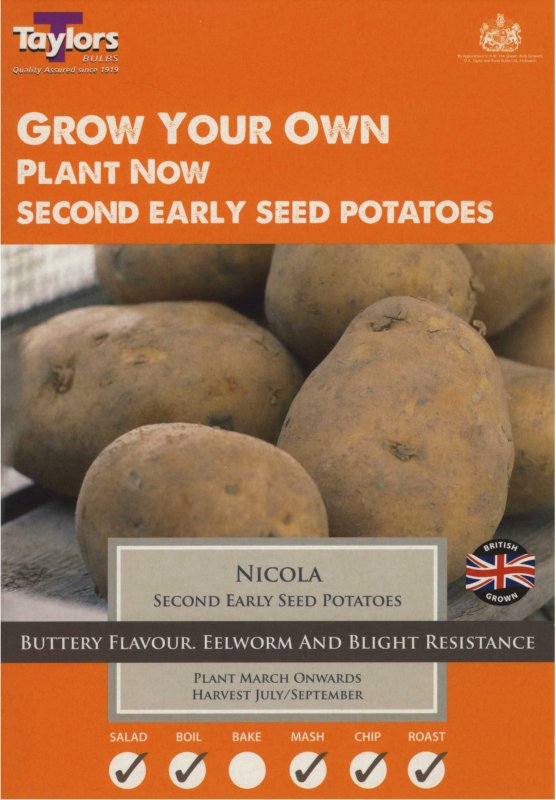 Taylors Bulbs Potato Nicola (x10)