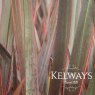 Phormium 'Sundowner' (v)