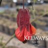 Abutilon 'Patrick Synge'